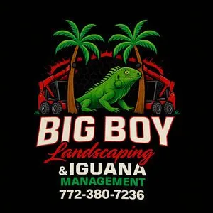 Local landscape installation in Jupiter, FL by Big Boy Landscaping and Iguana Management