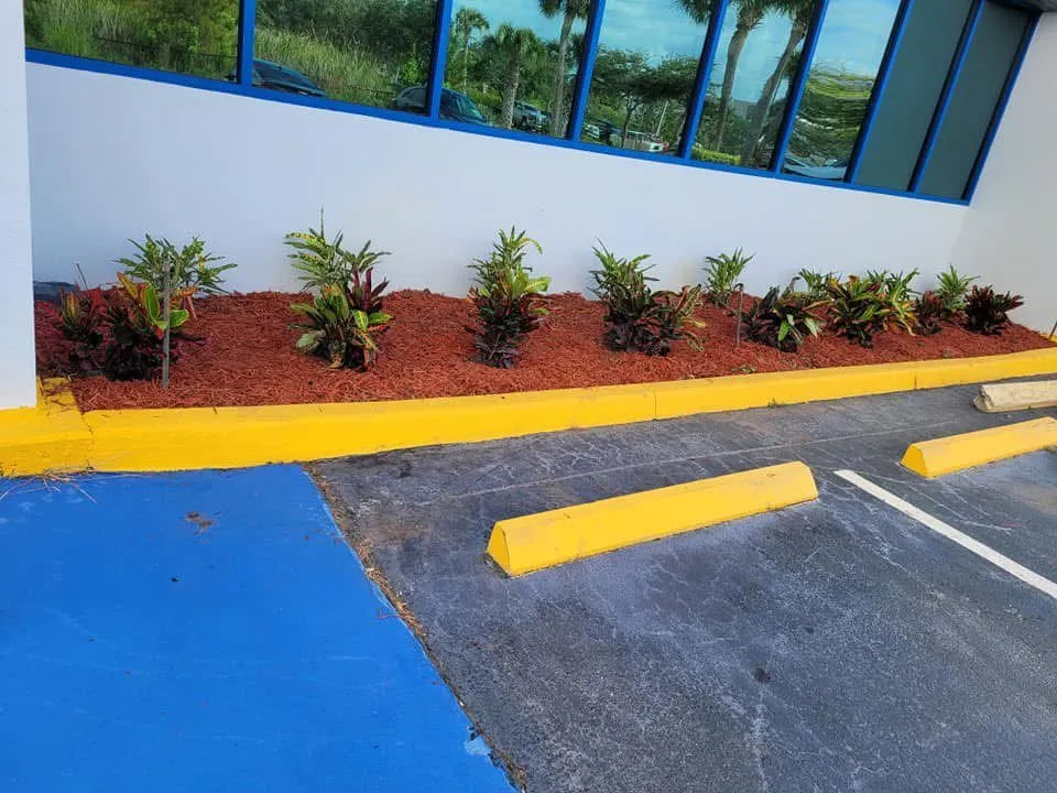 Local yard maintenance experts serving Jupiter, FL - Big Boy Landscaping and Iguana Management