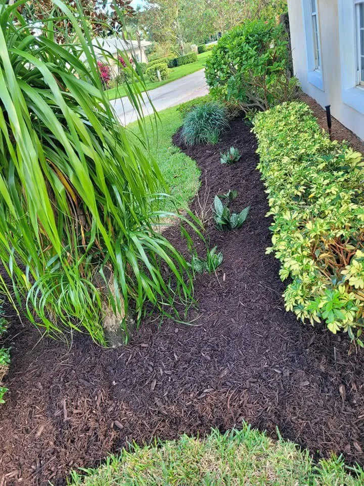 Affordable residential landscaping in Jupiter, FL - Big Boy Landscaping and Iguana Management