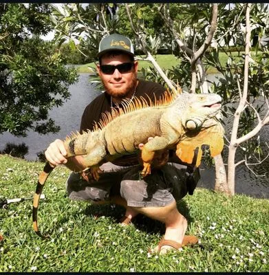 Big Boy Landscaping and Iguana Management