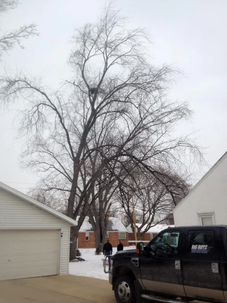 Reliable landscaping services in Seymour, WI by Big Boys Landscape & Snow Services