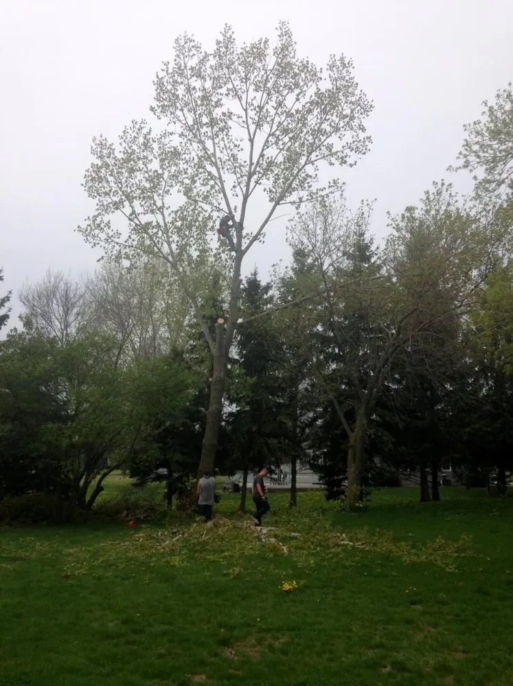 Top-rated lawn care service experts serving Seymour, WI - Big Boys Landscape & Snow Services