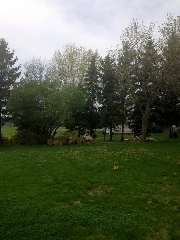 Custom landscape installation for beautiful yards across Seymour, WI - Big Boys Landscape & Snow Services