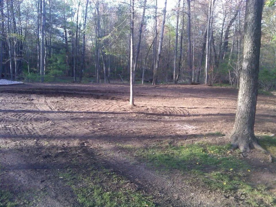 Professional yard maintenance in Seymour, WI by Big Boys Landscape & Snow Services