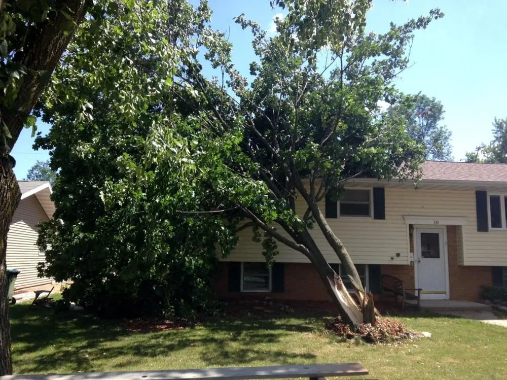 Affordable landscape design experts serving Seymour, WI - Big Boys Landscape & Snow Services