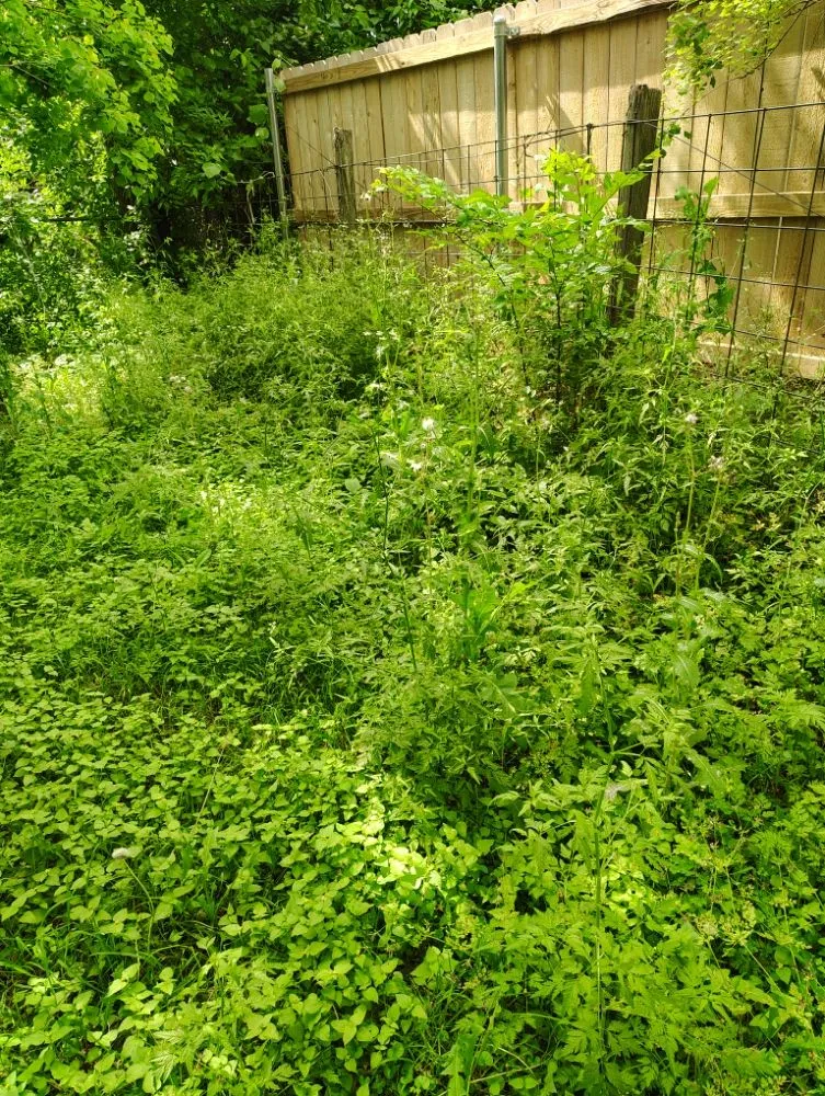 Expert outdoor landscaping in Haltom City, TX - Big Boys Landscaping