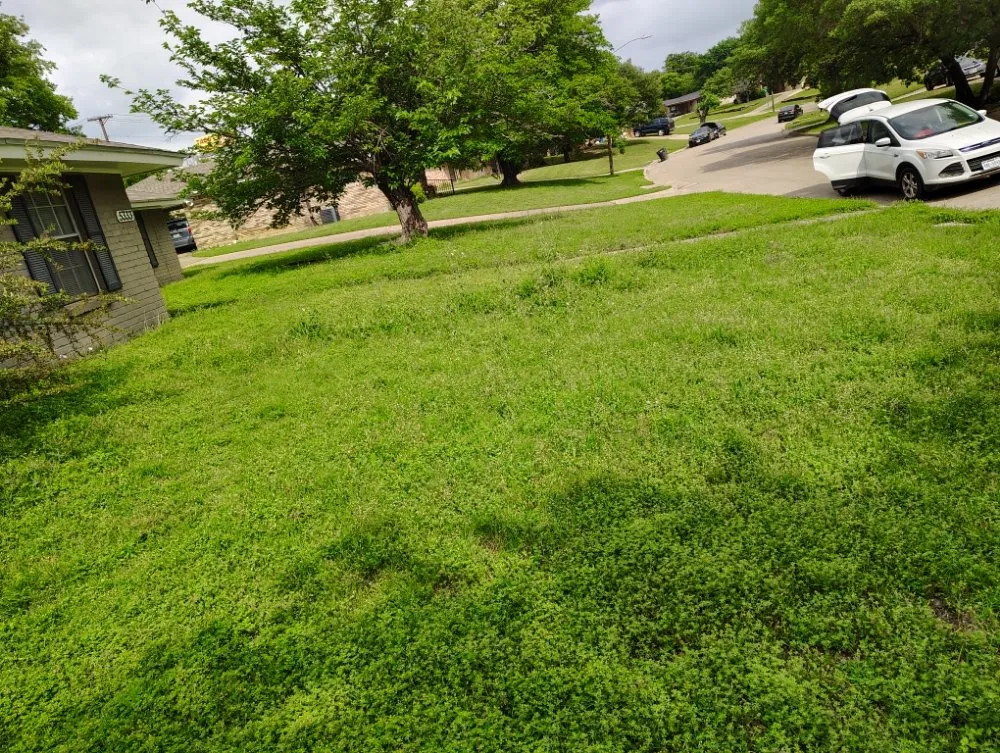 Reliable yard maintenance in Haltom City, TX - Big Boys Landscaping