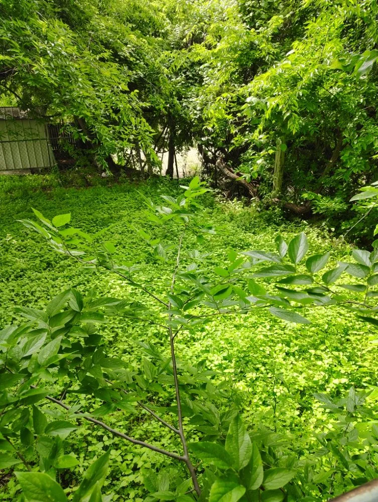 Expert outdoor landscaping experts serving Haltom City, TX - Big Boys Landscaping