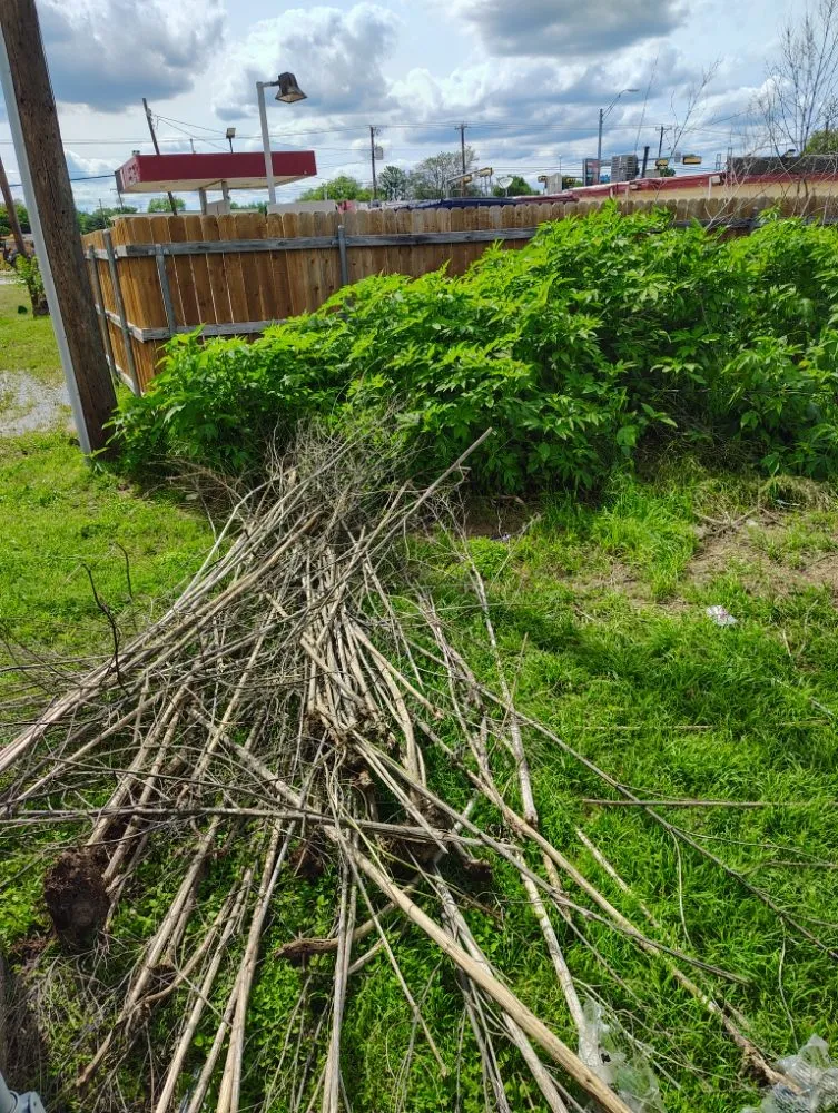 Affordable lawn care service in Haltom City, TX - Big Boys Landscaping