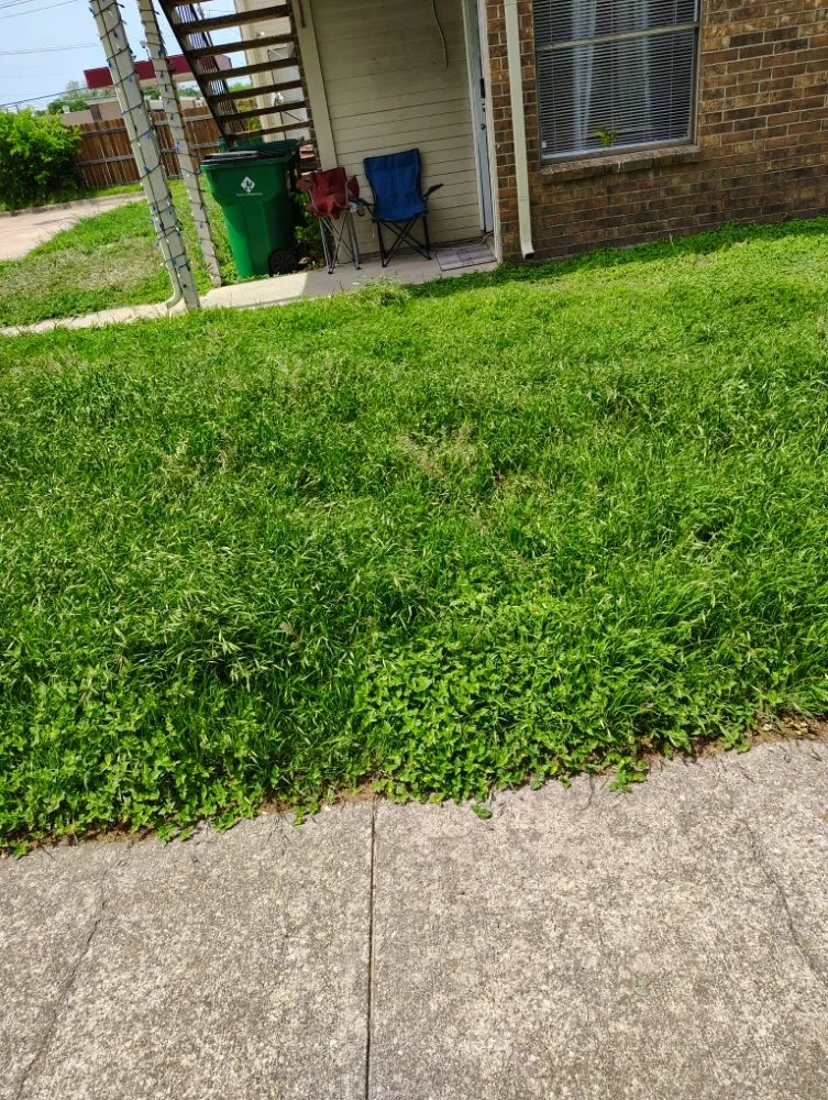 Affordable yard cleanup service in Haltom City, TX by Big Boys Landscaping