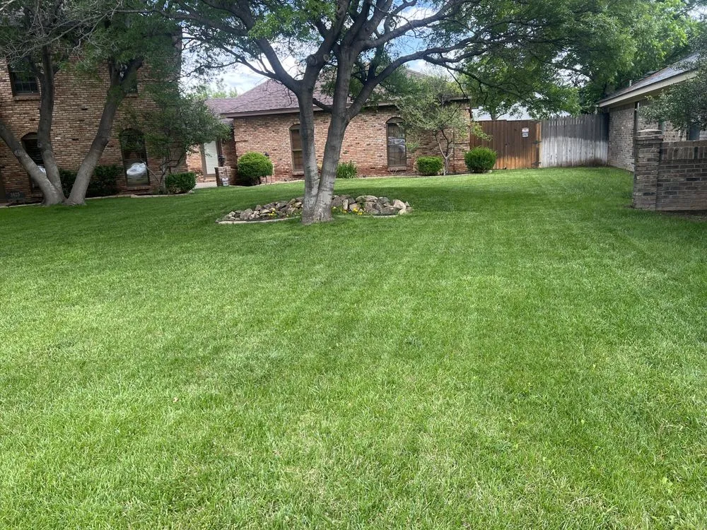 Professional yard cleanup service in Amarillo, TX - Big Boys Lawn Care & Cleaning