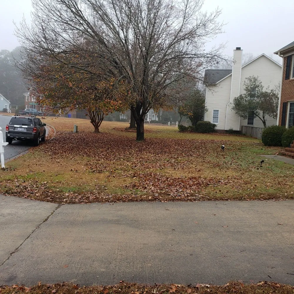 Top-rated lawn care service in Greenville, NC - big boys lawn care & power washing