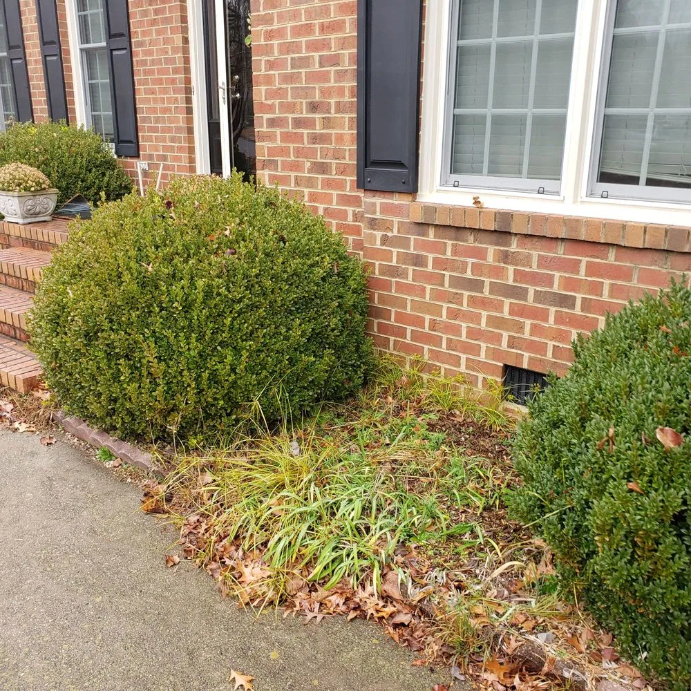 Local yard maintenance for outdoor upgrades in Greenville, NC by big boys lawn care & power washing