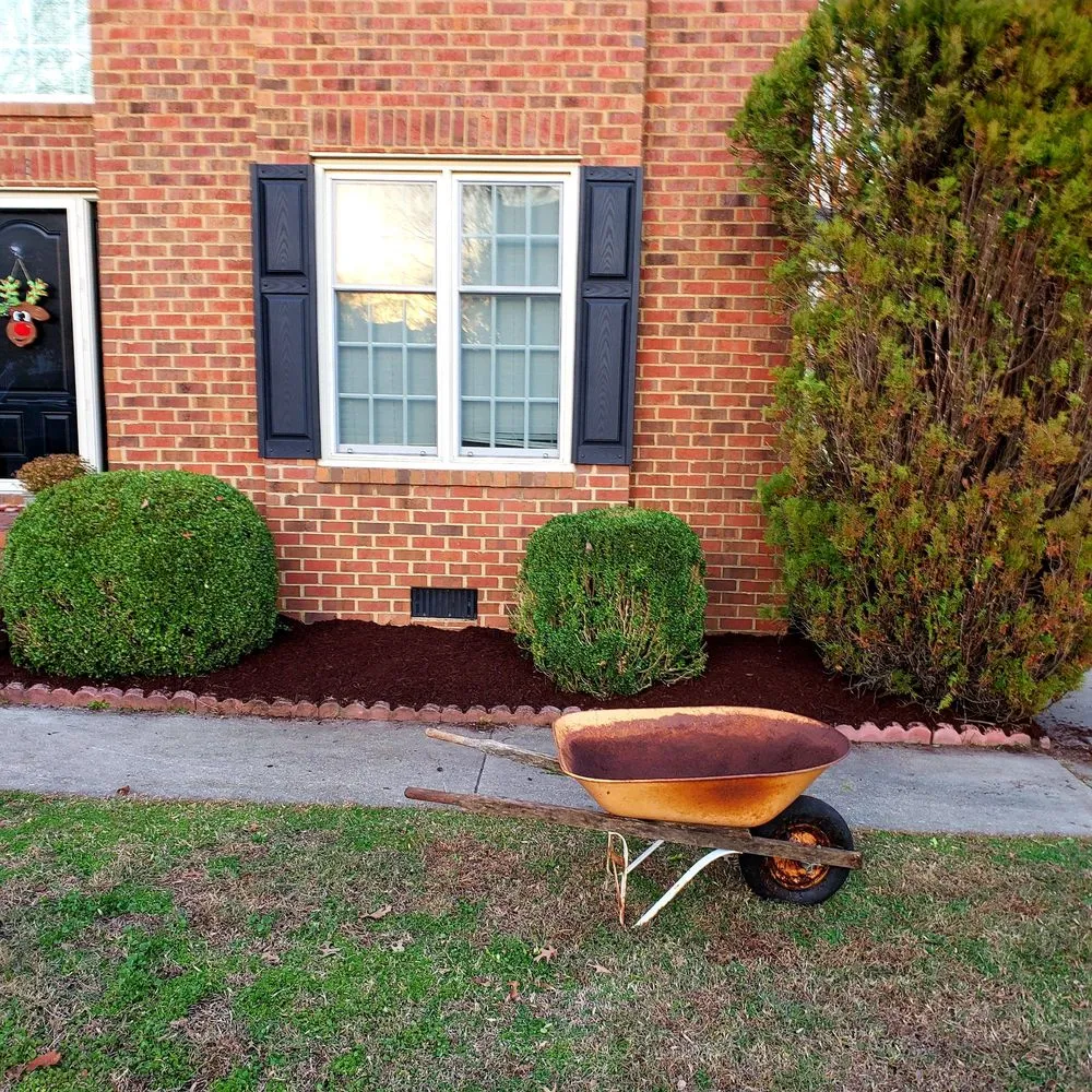 Local lawn care service in Greenville, NC - big boys lawn care & power washing