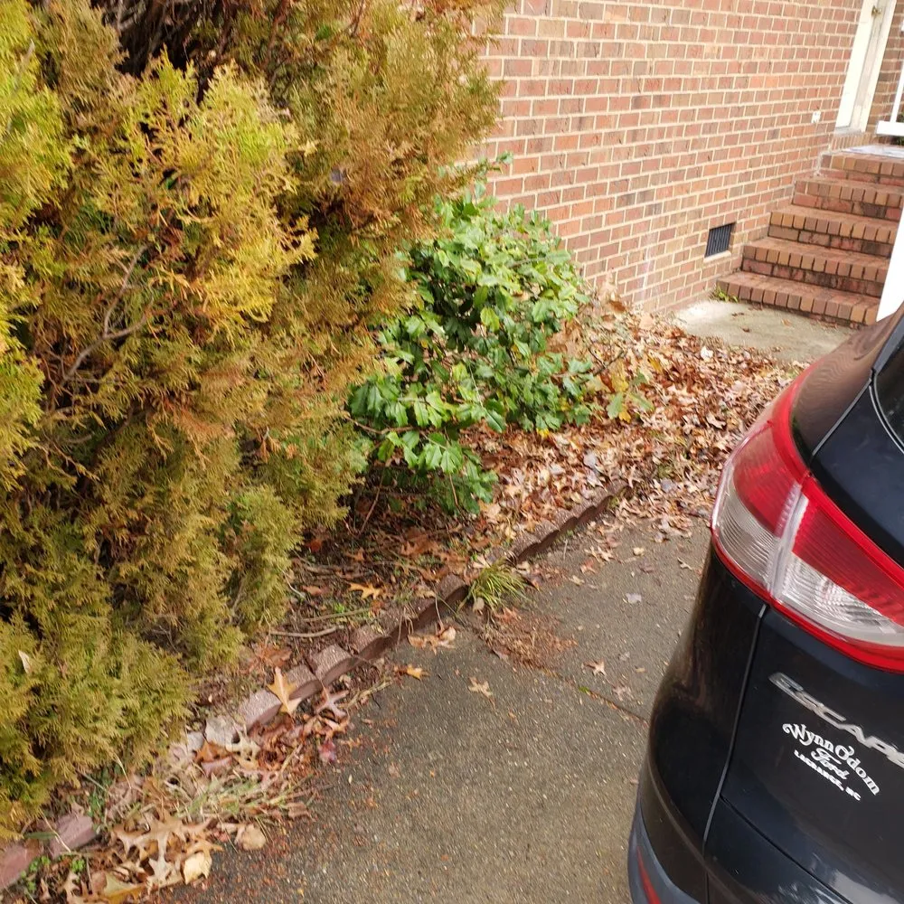 Professional garden landscaping for beautiful yards across Greenville, NC - big boys lawn care & power washing