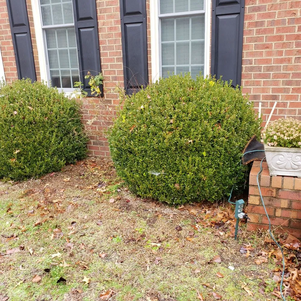 Local outdoor landscaping for outdoor upgrades across Greenville, NC - big boys lawn care & power washing