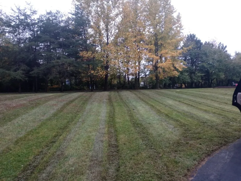 Custom landscape installation for beautiful yards across Danville, IN - Big Boyz Lawn & Landscape