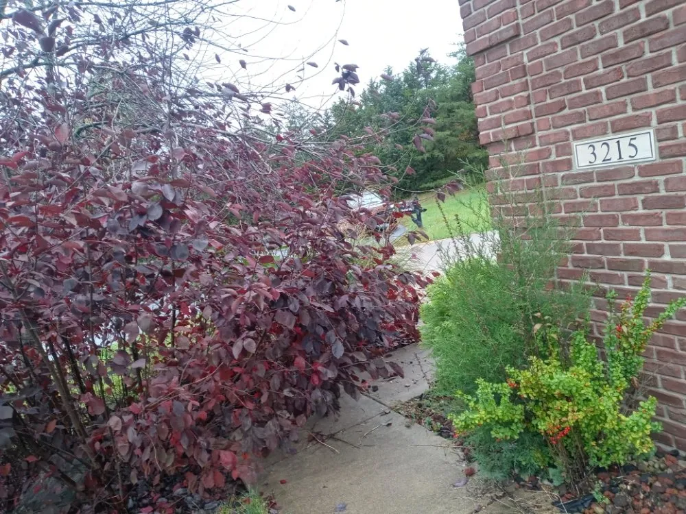 Trusted landscape installation for homes across Danville, IN - Big Boyz Lawn & Landscape