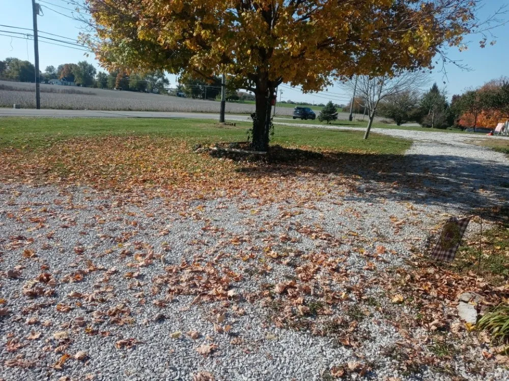 Expert lawn care service in Danville, IN by Big Boyz Lawn & Landscape