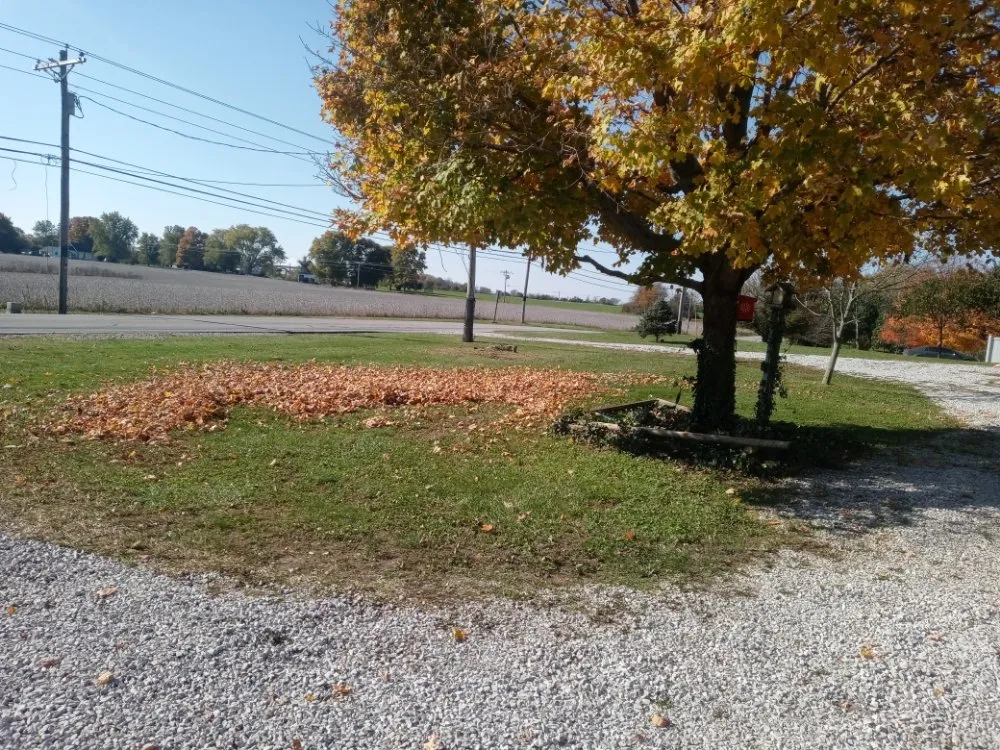 Local yard maintenance in Danville, IN by Big Boyz Lawn & Landscape