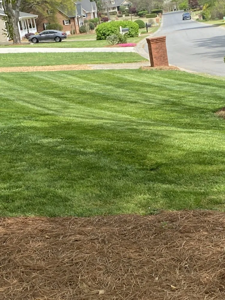 Trusted lawn care service for year-round maintenance across Cartersville, GA - Big Branch Lawn and Landscaping