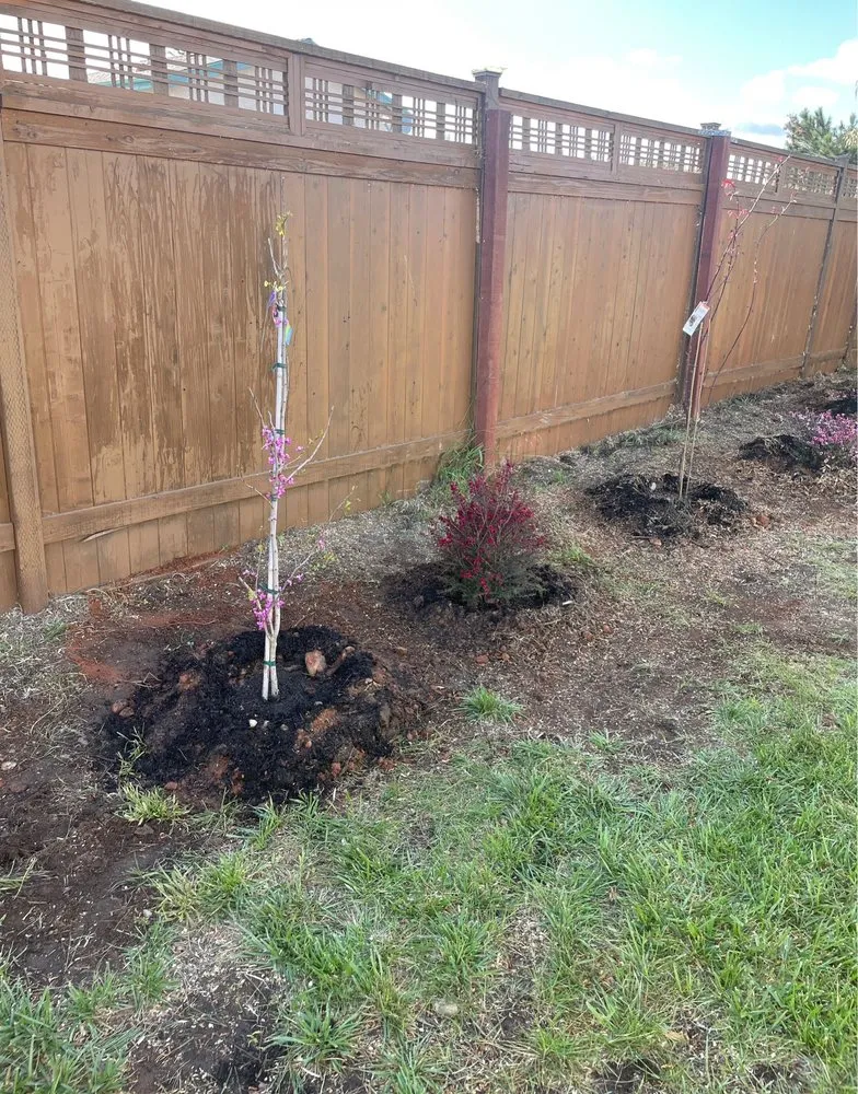 Professional landscape design in San Diego, CA by Big Branch Tree Service