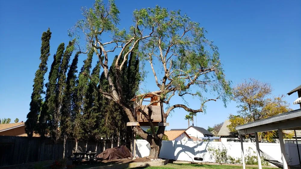 Affordable residential landscaping for year-round maintenance across San Diego, CA - Big Branch Tree Service