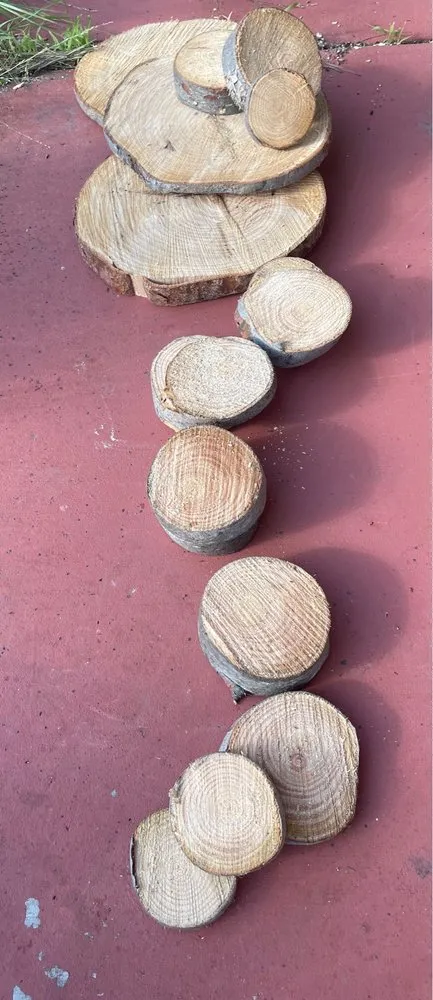 Professional landscape installation in San Diego, CA by Big Branch Tree Service