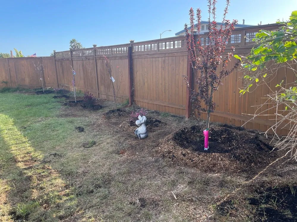 Expert lawn care service in San Diego, CA by Big Branch Tree Service