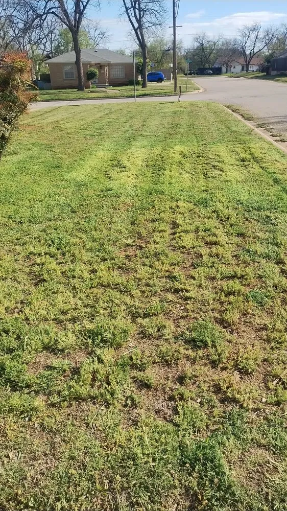 Expert landscaping services in Sweetwater, TX - Big Bro's Lawn Care