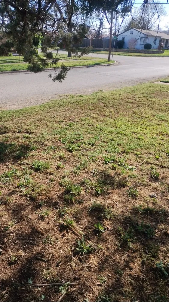 Reliable residential landscaping experts serving Sweetwater, TX - Big Bro's Lawn Care