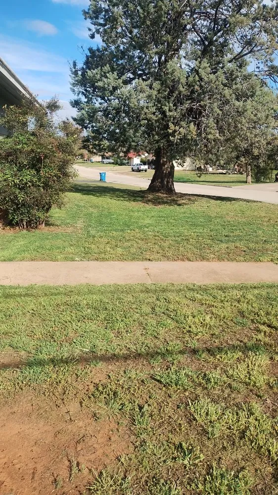 Custom lawn care service for homes in Sweetwater, TX by Big Bro's Lawn Care