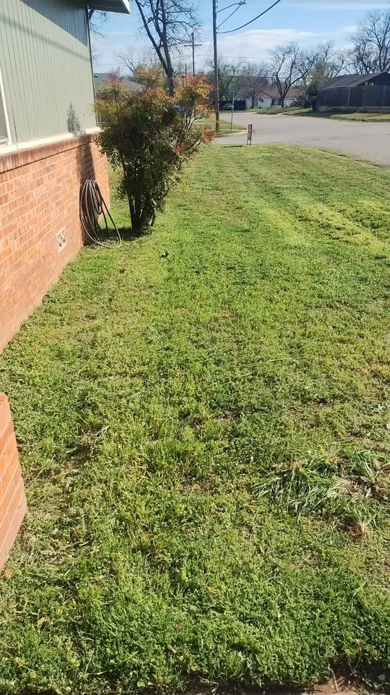 Trusted garden landscaping for residential properties in Sweetwater, TX by Big Bro's Lawn Care