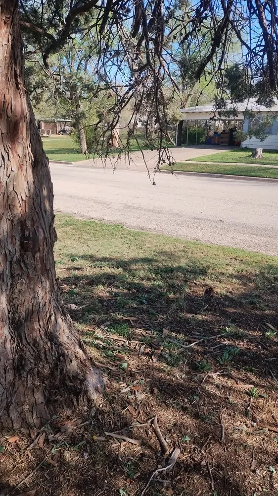 Affordable outdoor landscaping for year-round maintenance across Sweetwater, TX - Big Bro's Lawn Care