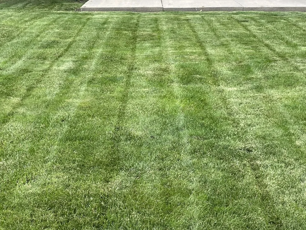 Expert yard cleanup service in North Platte, NE by Big Brother Landscaping