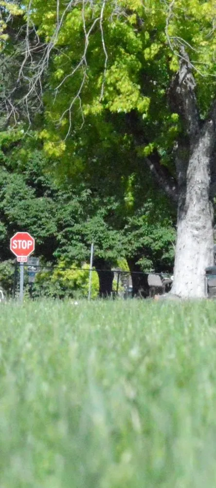 Top-rated residential landscaping in North Platte, NE by Big Brother Landscaping