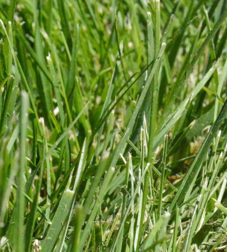 Custom landscape installation for beautiful yards in North Platte, NE by Big Brother Landscaping