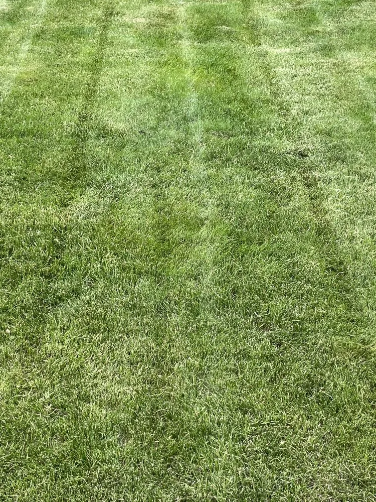 Custom outdoor landscaping experts serving North Platte, NE - Big Brother Landscaping