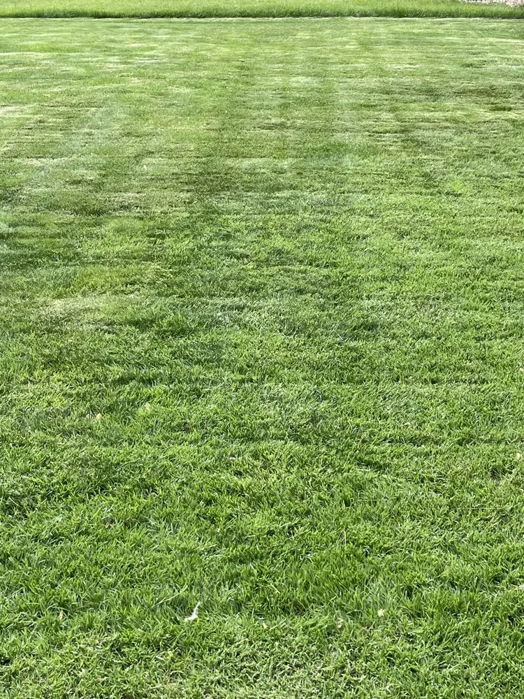 Trusted lawn care service experts serving North Platte, NE - Big Brother Landscaping