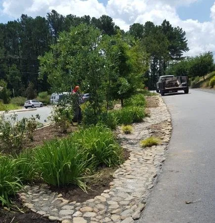 Professional yard cleanup service in North Lakeport, MI - Big Brother Lawn Services
