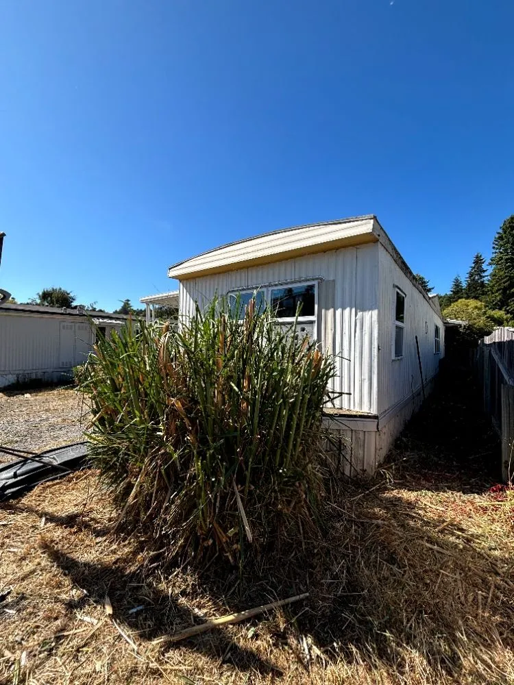 Expert landscape installation for residential properties across Eureka, CA - Big Brothers Junk Removal & Landscaping