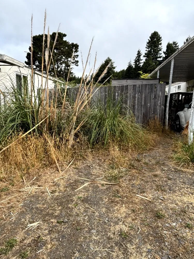 Expert lawn care service in Eureka, CA by Big Brothers Junk Removal & Landscaping