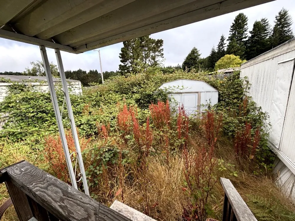 Custom garden landscaping in Eureka, CA by Big Brothers Junk Removal & Landscaping