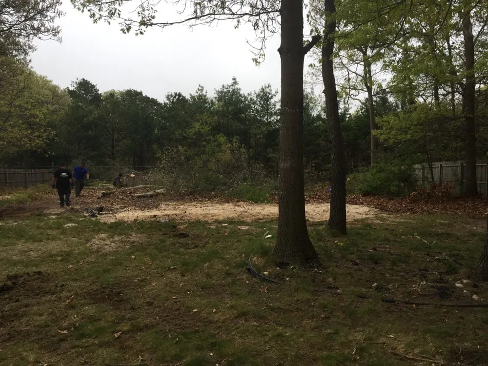 Expert lawn care service experts serving Lindenhurst, NY - Big Brothers Tree Service