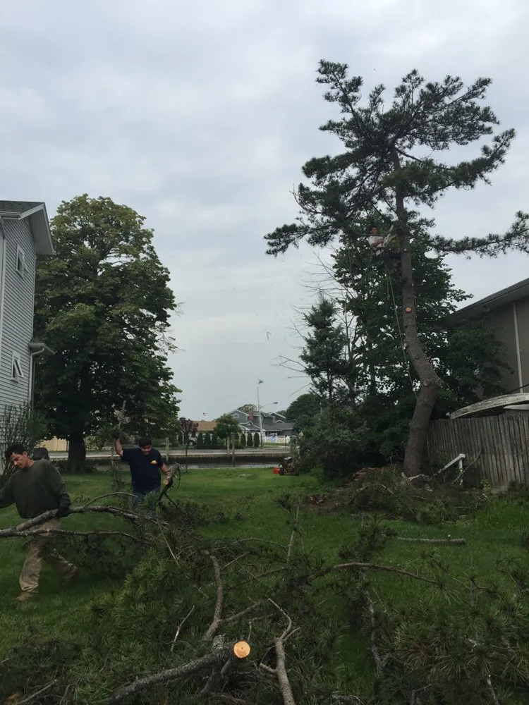 Expert lawn care service in Lindenhurst, NY by Big Brothers Tree Service