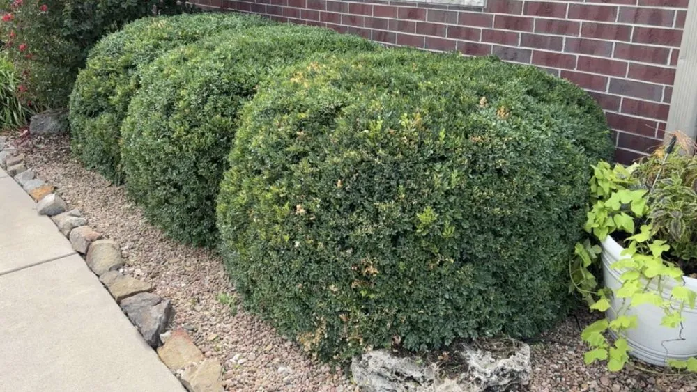 Top-rated landscape design in Wichita, KS - Big B’s Home and Landscape