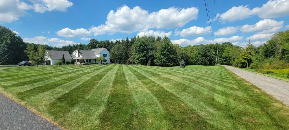 Top-rated lawn care service in Boardman, OH - Big Buckeye Lawn Care