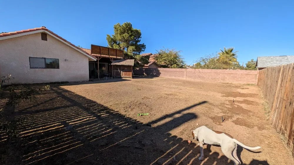 Expert landscaping services for homes in Henderson, NV by Big Bully Turf