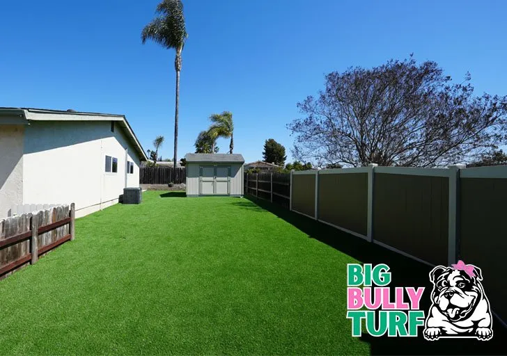 Professional landscape design for homes in Henderson, NV by Big Bully Turf