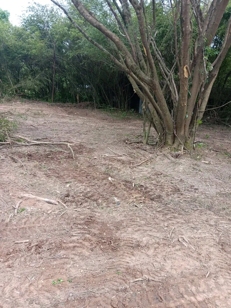 Affordable landscape installation for year-round maintenance across Anniston, AL - Big C Land Management